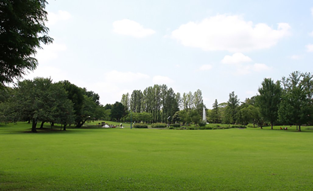 🌳 사이타마 현립 사이노모리 이루마 공원 이미지 4